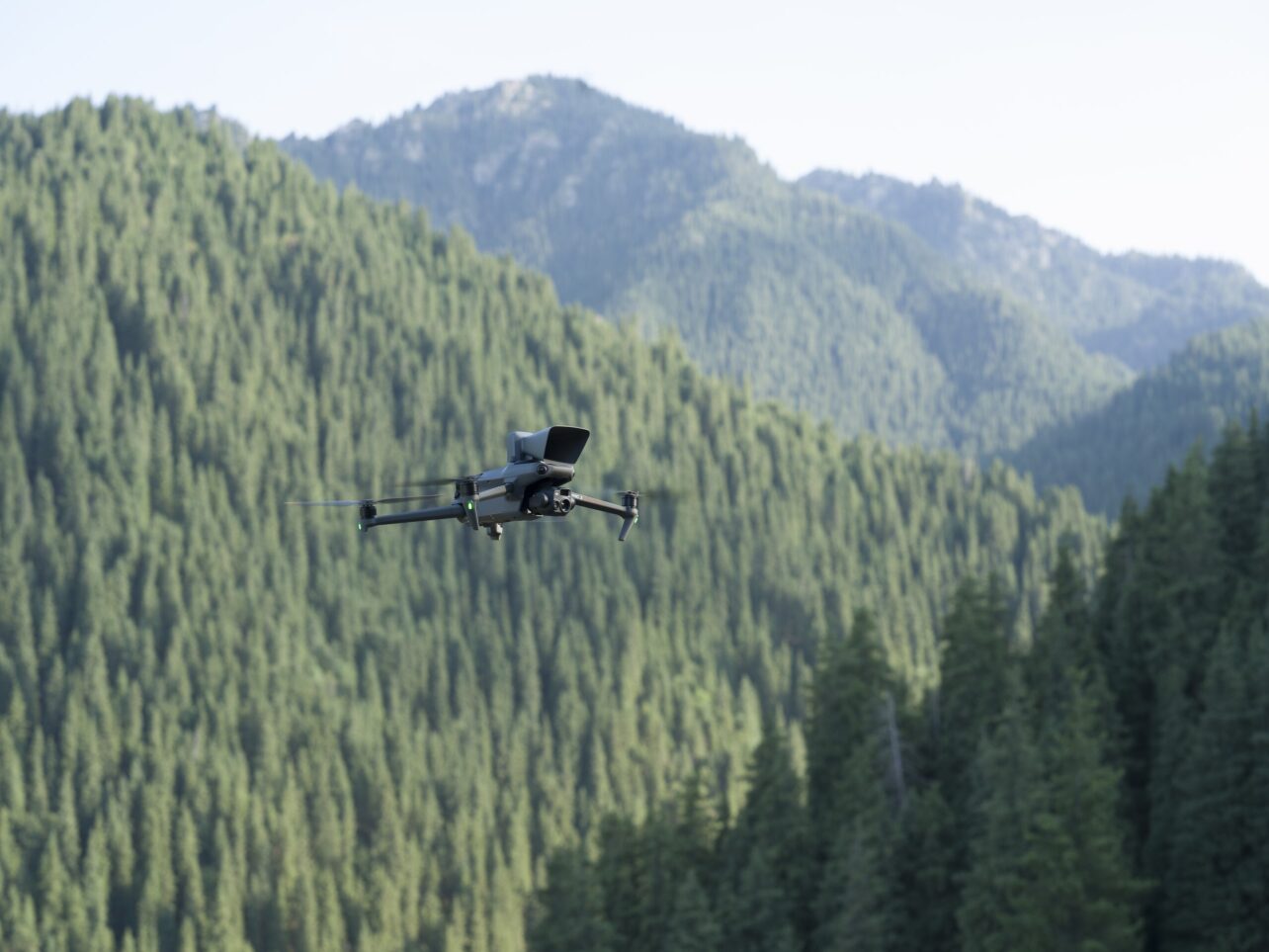 Drone technology in windblown forestry